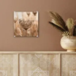 Schermbloem - Droogbloem - Winter - Beige - Minimalistisch plexiglas 5mm klein -sfeer5