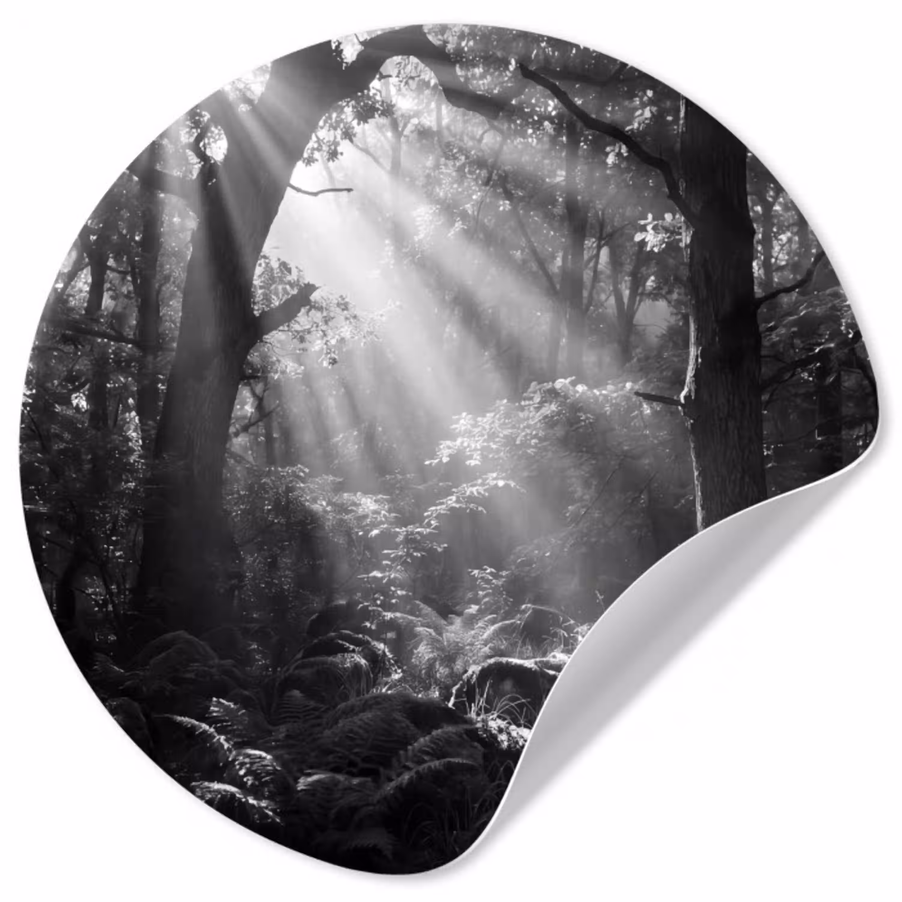 Bos - Lichtstralen - Natuur - Zwart-wit Wandcirkel behangsticker klein -3d