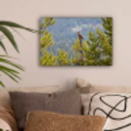 Uil - Oehoe - Bomen - Natuur canvas 2cm klein -sfeer1