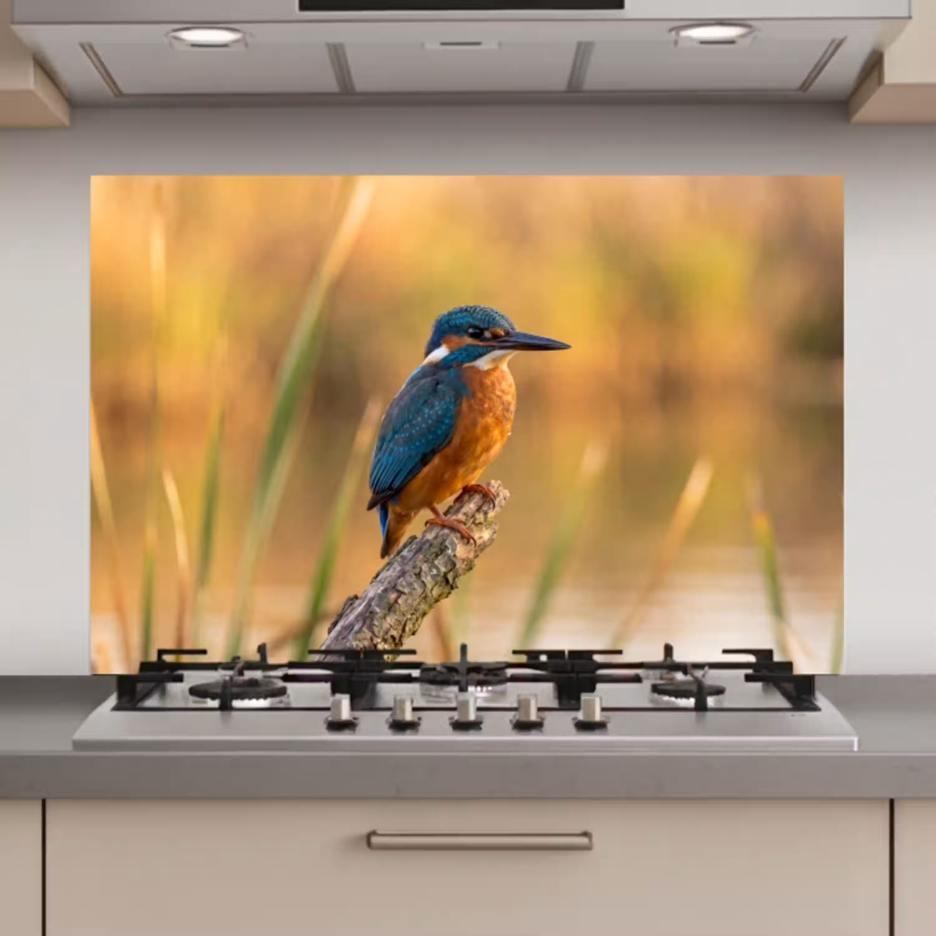 IJsvogel - Tak - Water - Kleurrijk - Levendig keuken achterwand spatscherm klein -3d_website