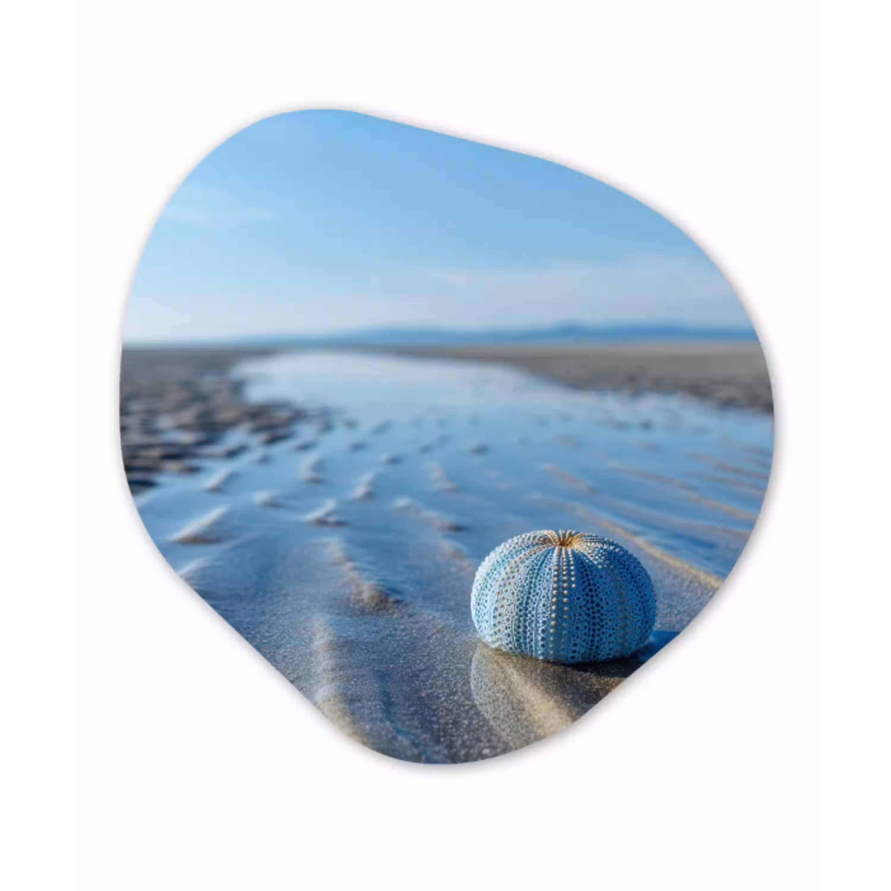 Strand - Schild - Water - Blauw Wandcirkel Organisch Forex 3mm klein -3d