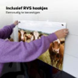 Koeien - Portret - Weide - Boerderij - Nieuwsgierig Inductie beschemer met haakjes klein -ky-ophangen-nl