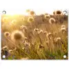 Planten - Natuur - Bloemen - Zon - Horizon tuinposter los doek klein -3d