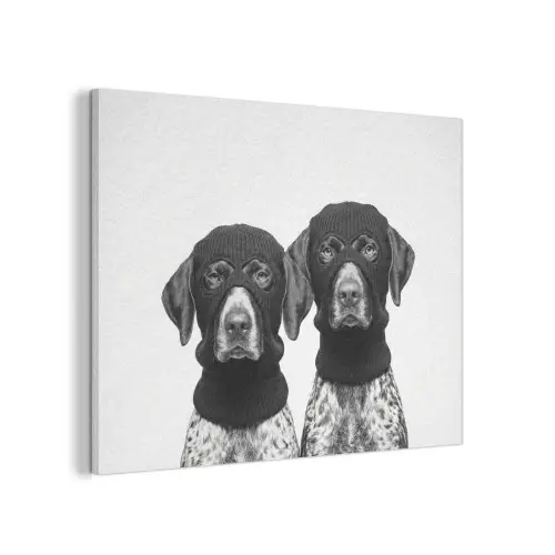 Honden - Bivakmuts - Zwart - wit PET vilt klein -3d