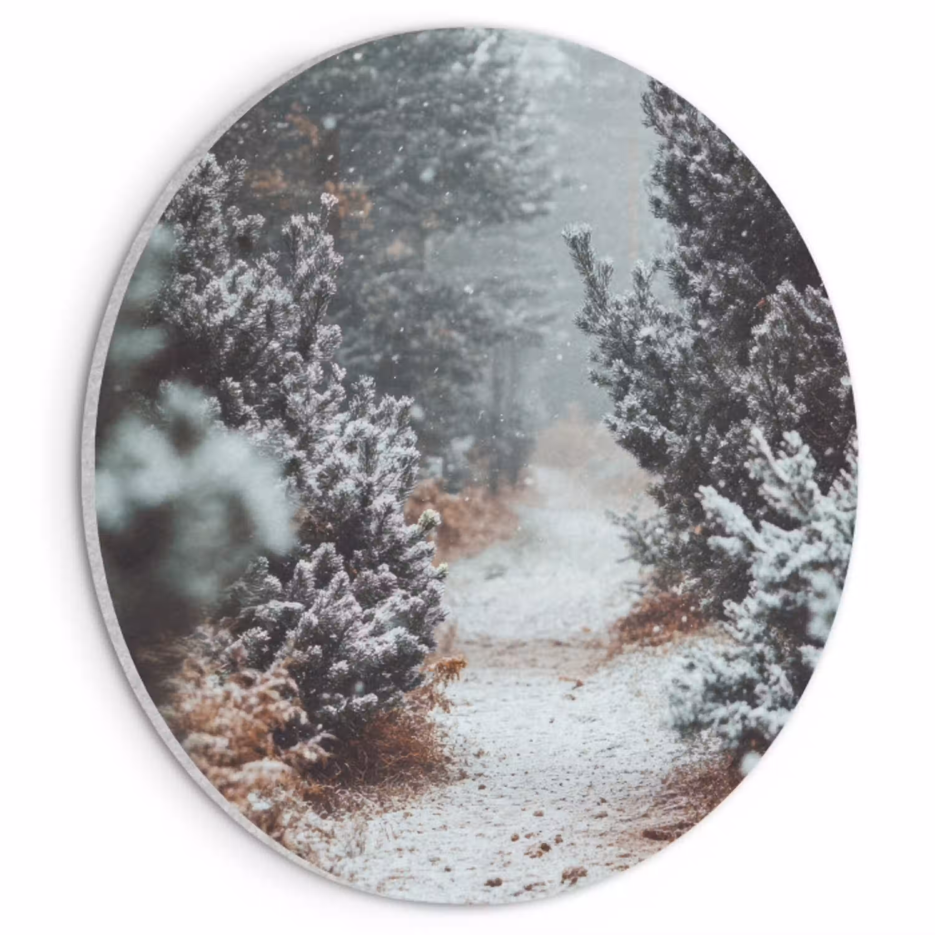 Bos - Winter - Bomen - Natuur - Pad - Sneeuw Akoestische PET Vilt - Rond klein -3d