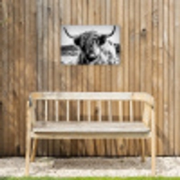 Schotse hooglander - Natuur - Koe - Zwart - Wit Tuinposter op houten frame 2 cm dik klein -sfeer4