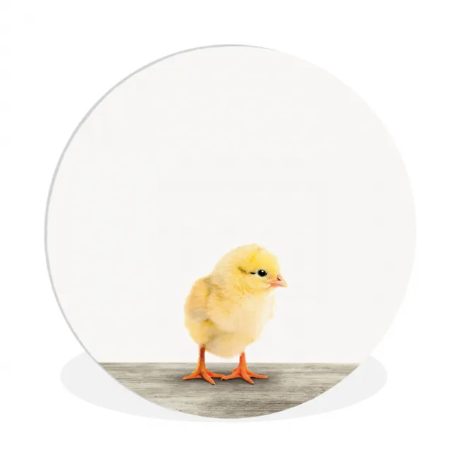 Kuiken - Dieren - Jongens - Meisjes - Kinderen Wandcirkel kunststof plaat 5mm dik klein -3d