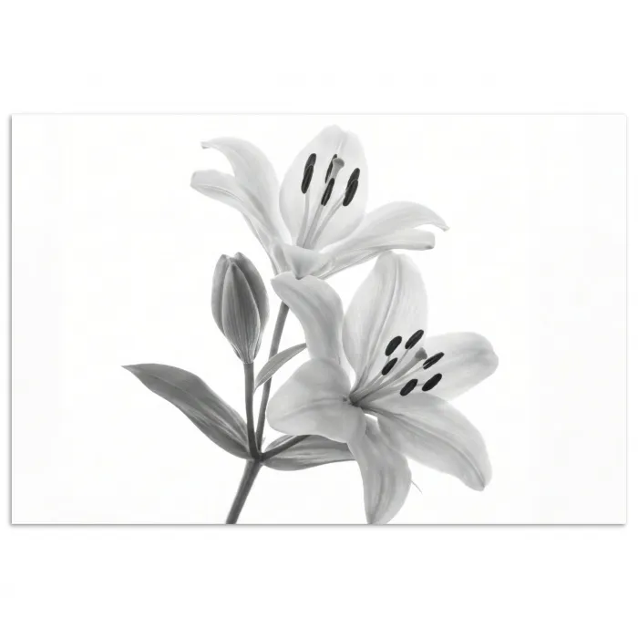 Lelies - Elegant - Zwart - Wit poster papier klein -3d