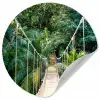 Jungle - Palmboom - Brug - Natuur - Planten Wandcirkel behangsticker klein -3d