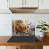 Schotse Hooglander - Dieren - Bruin - Koe - Zwart - Wit - Natuur keuken achterwand spatscherm klein -sfeer2