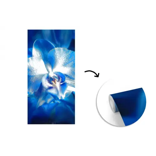 Blauw - Orchidee - Elegeant fotobehang vinyl groot -3d
