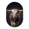 Stier - Kleurrijk - Hoorns Wandcirkel Ovaal Forex klein -3d