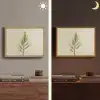 Dennentak - Naaldvormige bladeren - Lichtgroen Light Box met batterij (Wandlamp) middel -sfeer3