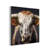Stier - Kleurrijk - Hoorns aluminium wit klein -3d