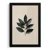 Laurierbladeren - Bloemknoppen - subtiel fotolijst zwart zonder passe partout klein -3d