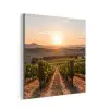 Wijngaard - Zonsondergang - Landschap aluminium wit klein -3d