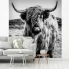 Schotse hooglander - Natuur - Koe - Zwart - Wit fotobehang vinyl groot -woonkamer