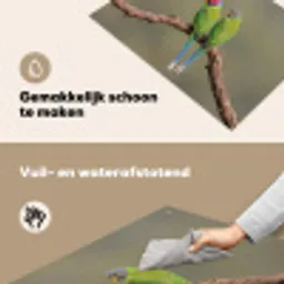Papagaai - Tak - Natuur - Kleurrijk Inductie beschemer met haakjes klein -ky-schoon-nl