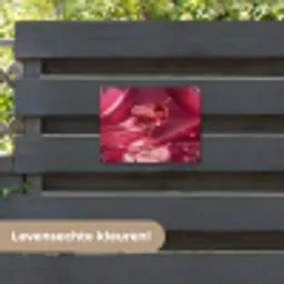 Cocktail - Pink - Luxe tuinposter los doek klein -sfeer3