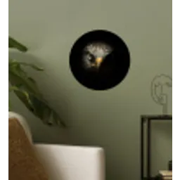 Vogel - Adelaar - Roofvogels - Oog - Snavel - Licht Wandcirkel behangsticker klein -sfeer2