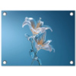Lelies - Blauw - Glazen tuinposter los doek klein -3d