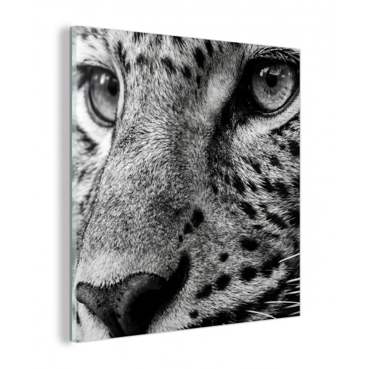 Luipaard - Zwart - Wit - Oog plexiglas 5mm klein -z3d