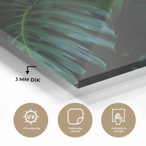 Monstera - Jungle - Bladeren plexiglas 5mm klein -sfeer2