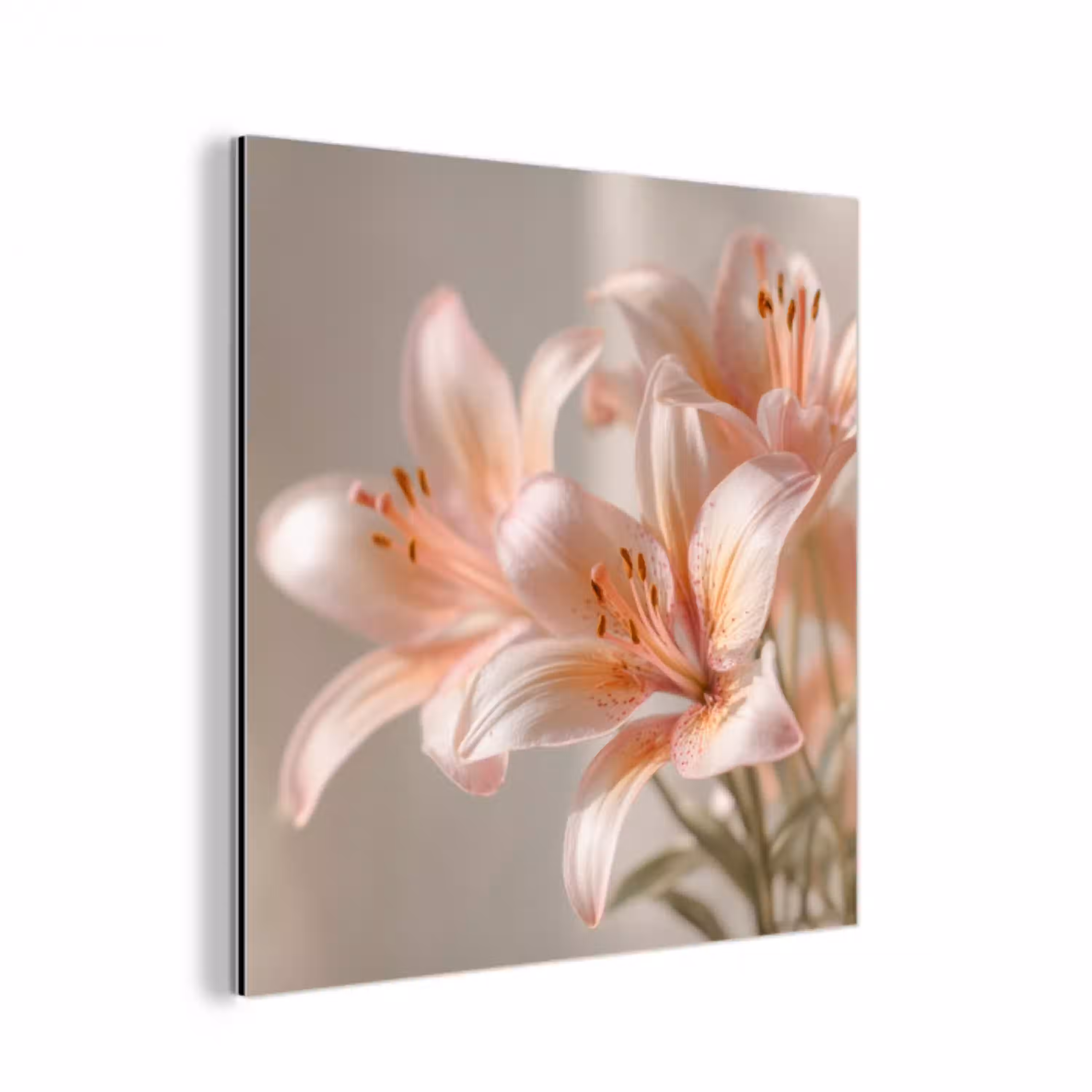 Lelies - Meeldraden - Roze - Wazig aluminium wit klein -3d