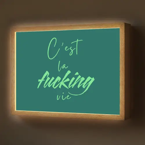 c'est la fucking vie - Groen - Handgeschreven Light Box met batterij (Wandlamp) middel -z3d_website
