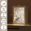 Bloemen - Wit - Goud - Beige  - Luxe Light Box met kabel (Tafellamp) klein -USP_NL