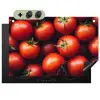 Groente - Rood - Tomaten Inductie beschemer met haakjes klein -3d