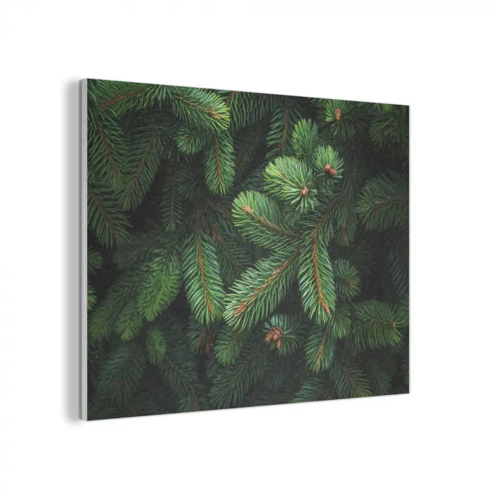 Sparrentakken - Knoppen - Naalden - Groen PET vilt klein -3d