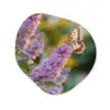 Sierlijke - Vlinder - Paarse - Bloemen Wandcirkel Organisch Aluminium middel -3d