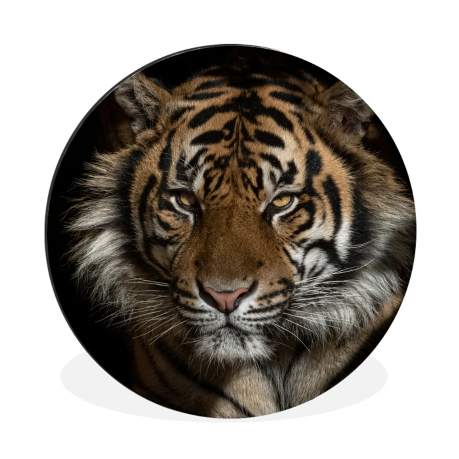 Tijger - Wilde dieren - Portret Wandcirkel aluminium klein -3d