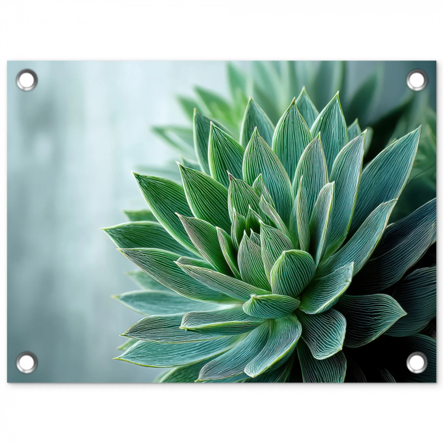 Vetplant - Bladeren - Groen - Wazig tuinposter los doek klein -3d