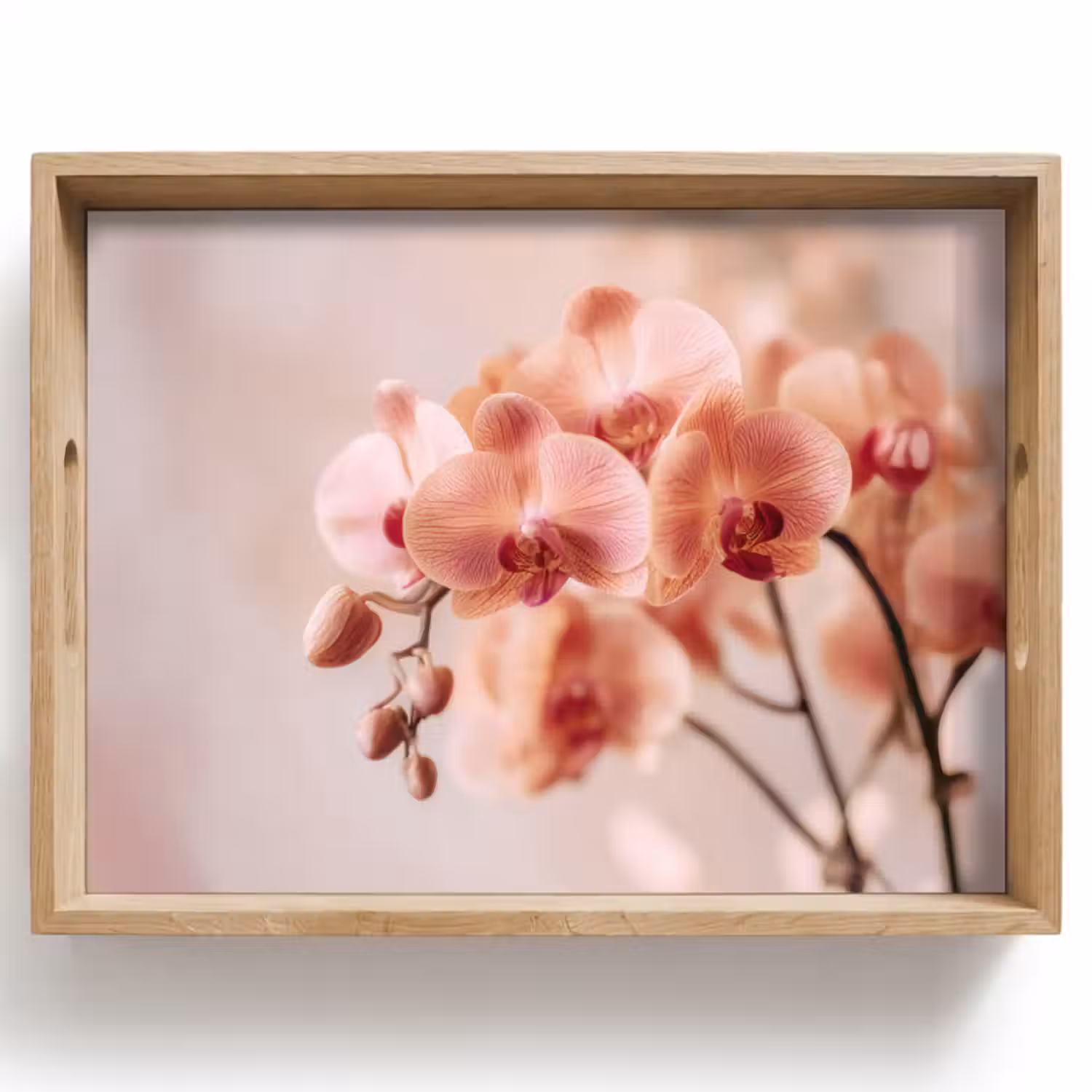 Dienblad - Orchidee - Bloemen - Roze - Bloemblaadjes