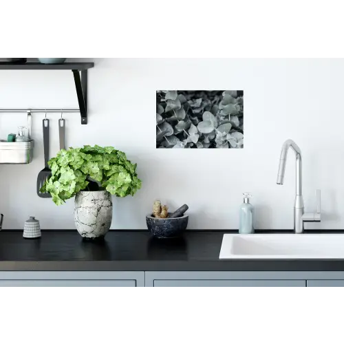 Close-up van eucalyptusplanten uit de natuur Muursticker klein -keuken