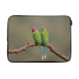 Papagaai - Tak - Natuur - Kleurrijk laptophoes neopreen klein -3d