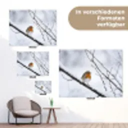 Roodborstje - Tak - Sneeuw - Winter - Levendig tuinposter los doek klein -Xsfeer9_DE