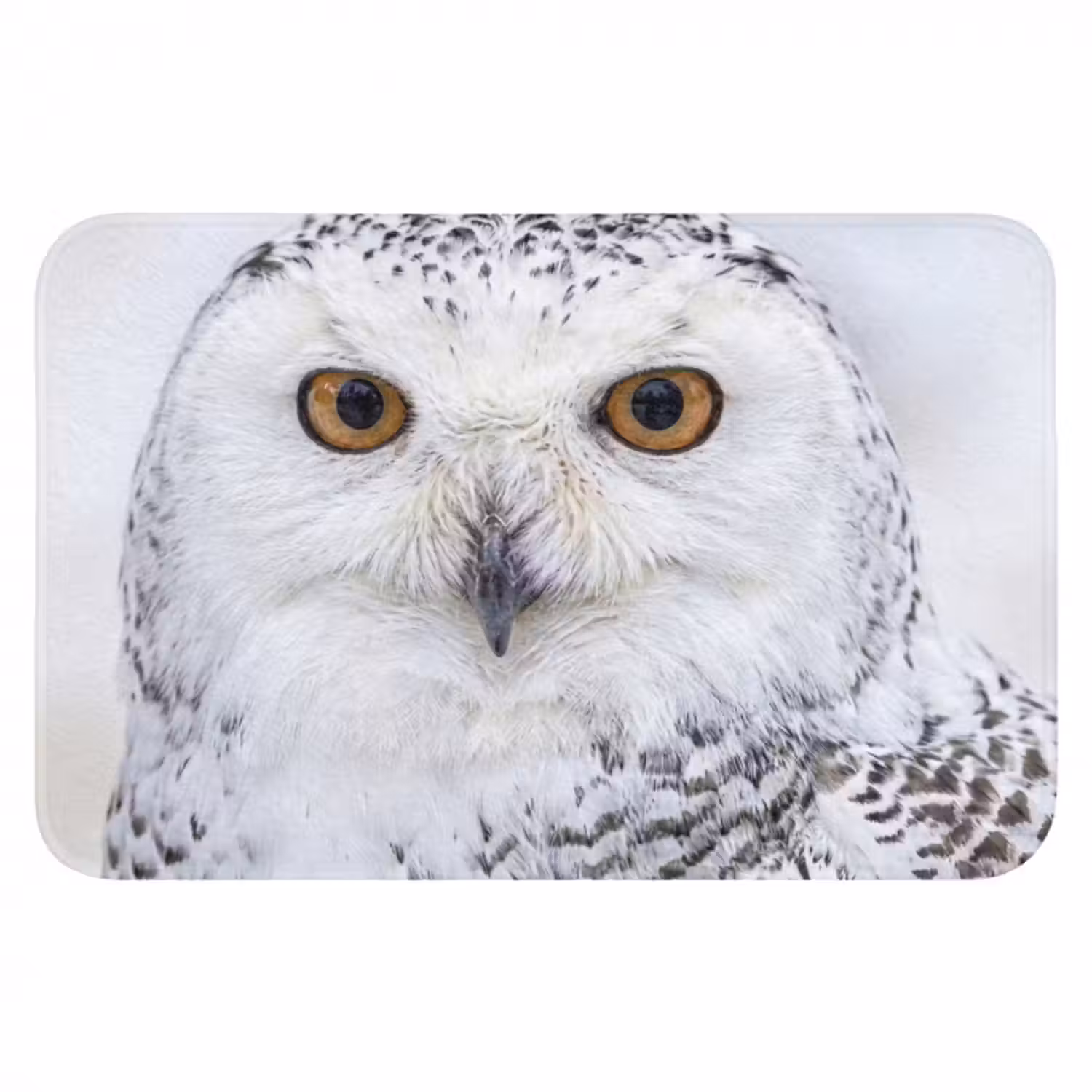 Badematte - Schneeeule - Auge - Wildtiere - Weiß