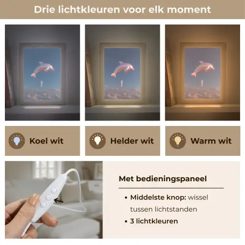 Dolfijn - Roze - Astronaut Light Box met kabel (Tafellamp) klein -USP_lichtkleurNL