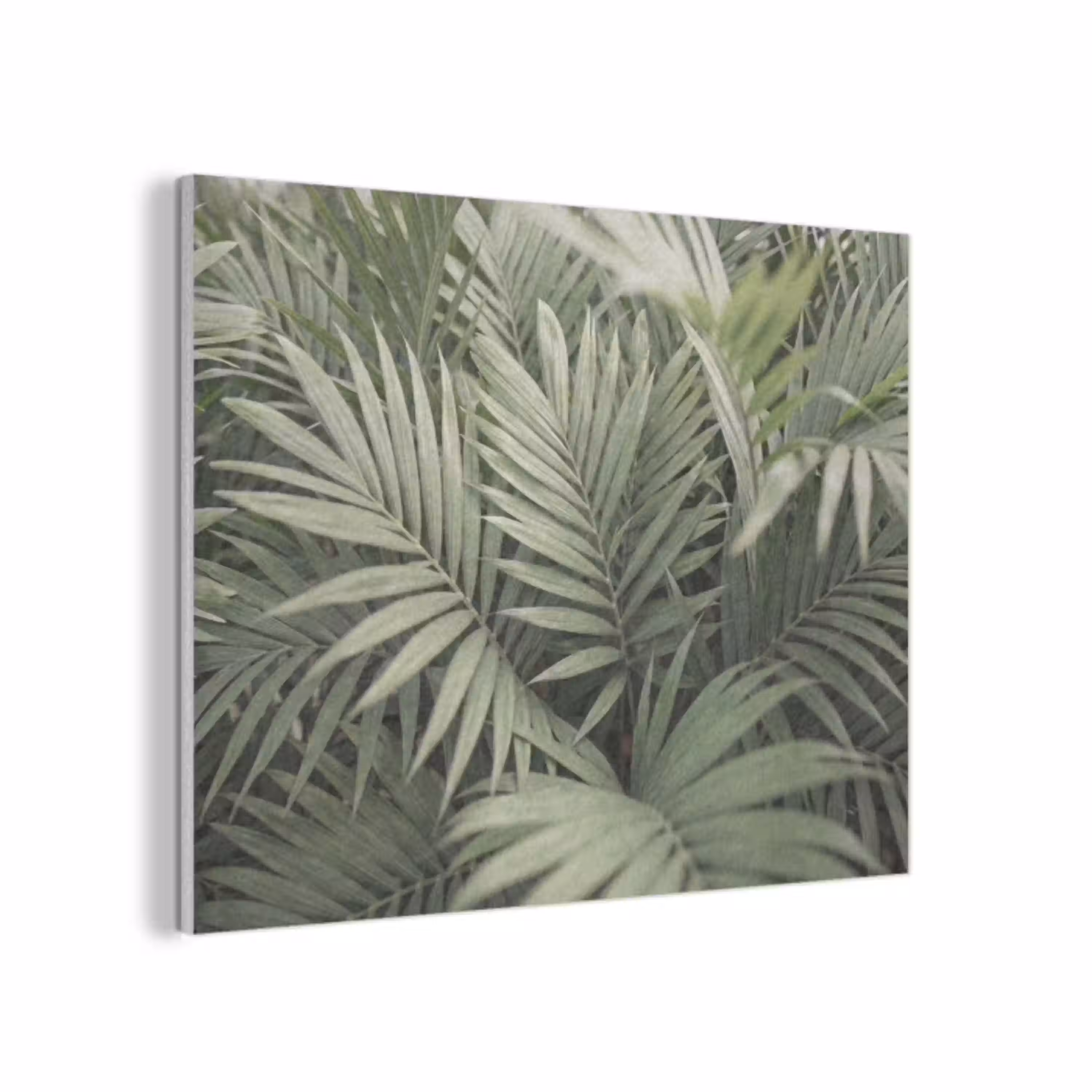 Plant - Palmbladeren - Natuur - Groen PET vilt klein -3d