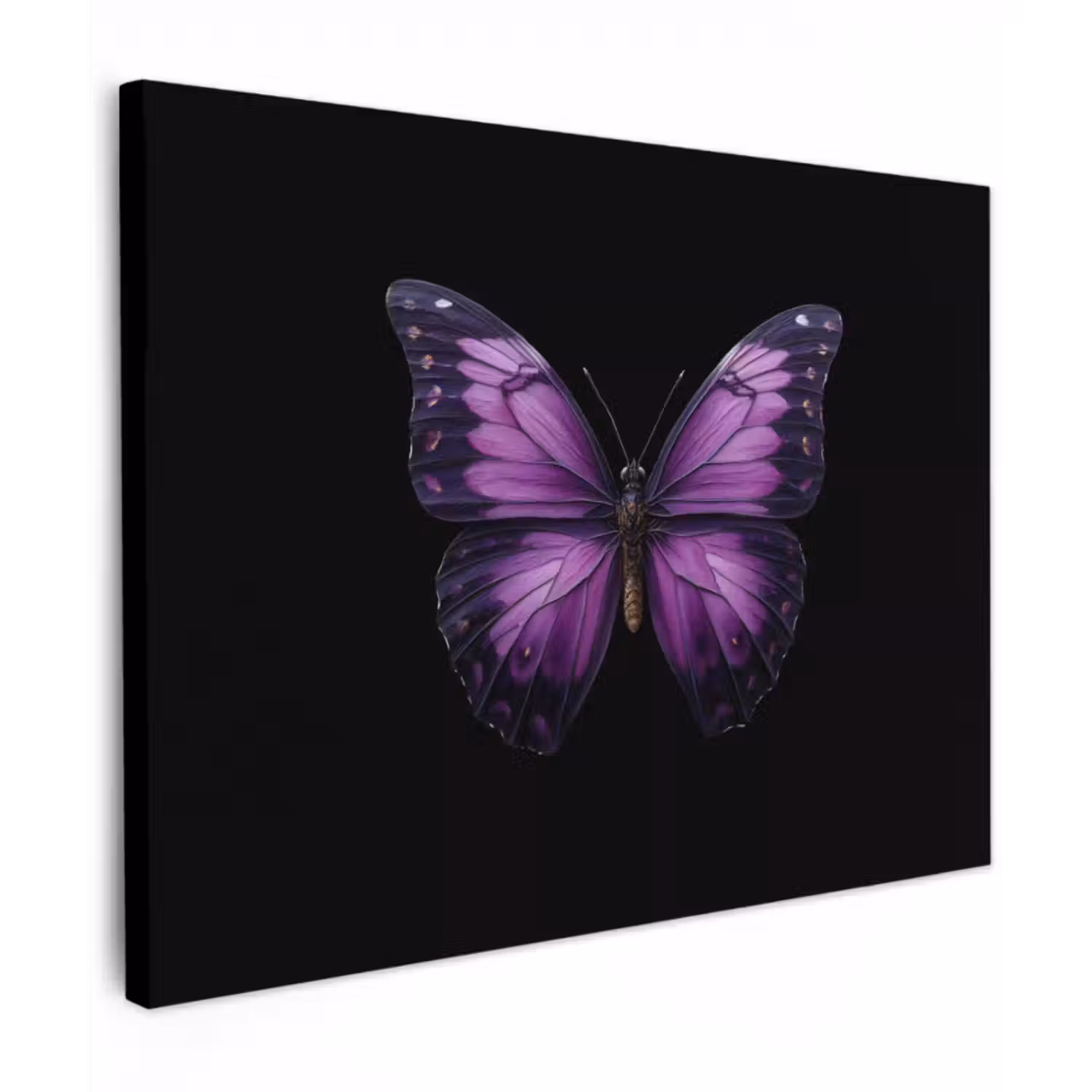 Canvas schilderij - Vlinder - Paars - Levendig