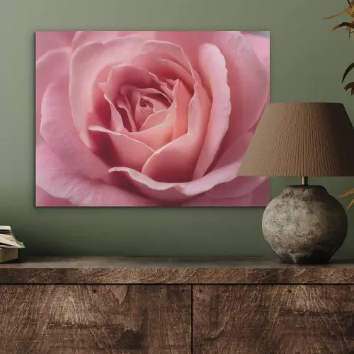 Roze - Roos - Romantisch PET vilt klein -sfeer2