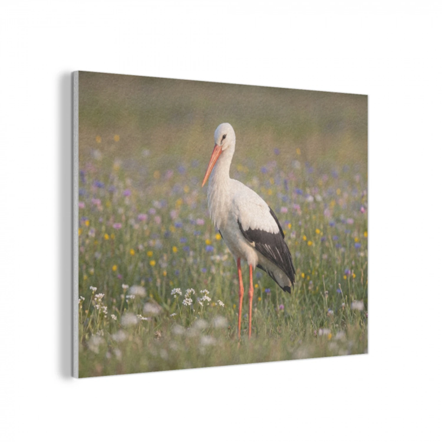 Ooienvaar - Bloemen - Weide - Kleurrijk PET vilt klein -3d