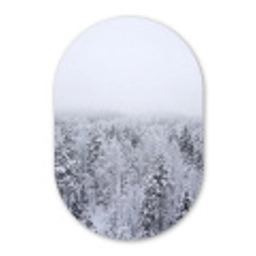 Bos - Sneeuw - Winter - Natuur - Wit Wandcirkel Ovaal Aluminium middel -3d