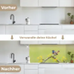 Vogel - Tak - Natuur - Kleurrijk keuken achterwand 2 middel -voor-na_DE