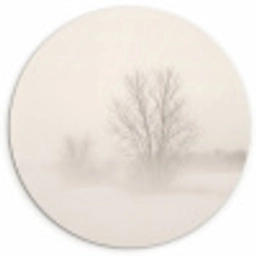 Boom - Mist - Sneeuw - Winter - Minimalistisch Wandcirkel kunststof plaat 5mm dik klein -3d