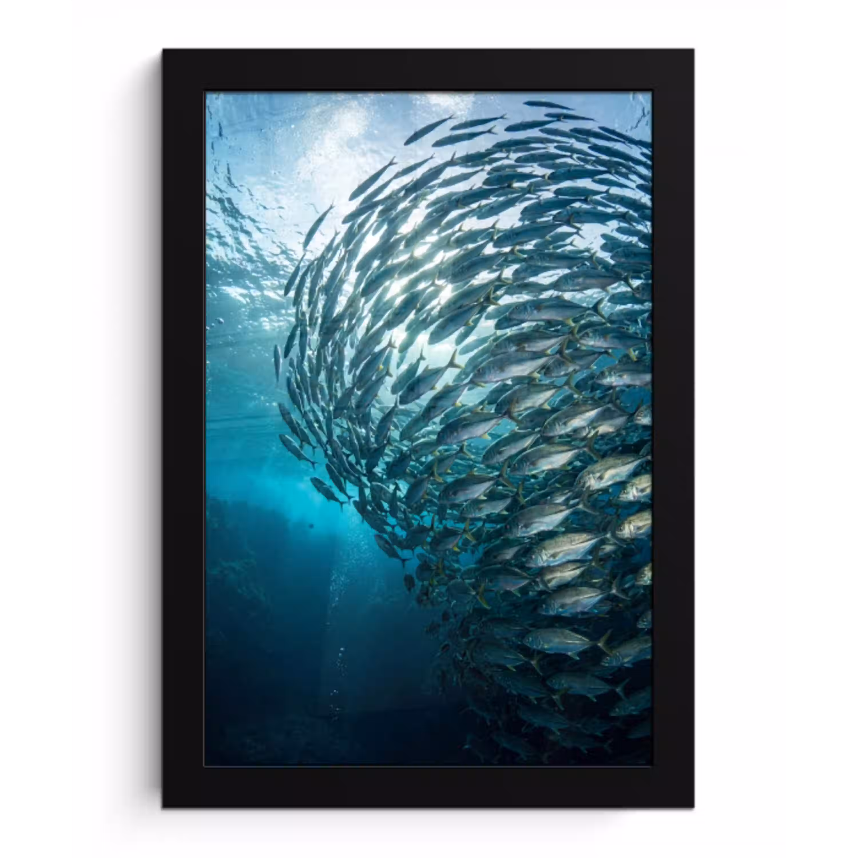 Vis - School - Oceaan - Natuur - Blauw fotolijst zwart zonder passe partout klein -3d