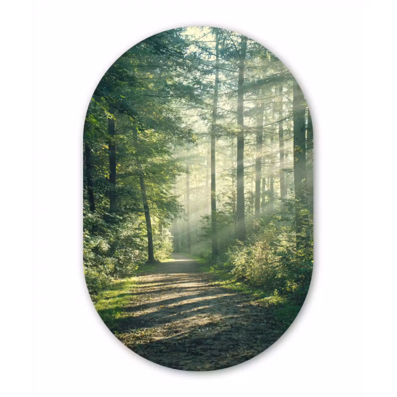 Forexbild Oval - Wald - Weg - Sonne - Bäume - Grün - Natur